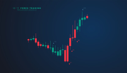 Stock market time frame forex trading candlestick graph in graphic design for financial investment concept vector illustration