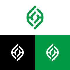 letter H and H leaf