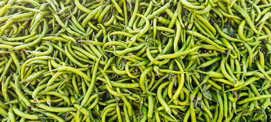 A pile of fresh green chilly open sell in Indian market.