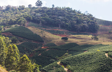 Rural landscapes in Brazil