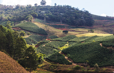 Rural landscapes in Brazil
