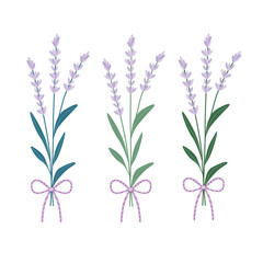 Vector illustration of three lavender branches with a thin lilac and violet striped ribbons, pastel floral bouquet design for greeting card, aromatherapy label, wedding or gift 

