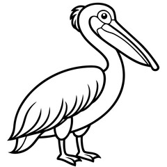 black swan vector illustration