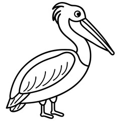 black swan vector illustration