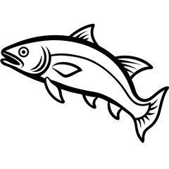 fish isolated on white background