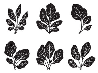 Kangkong line art fresh green leaves illustration 