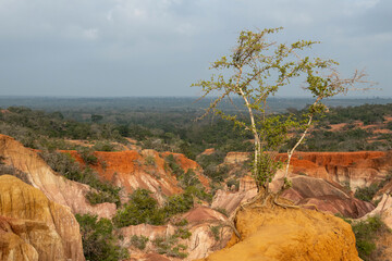 kolorowy kanion z piaskowca w Kenii