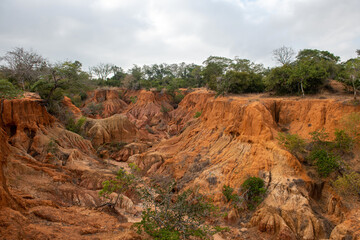 roślinność porastająca urwiska kanionu Hell's Kitchen w Kenii