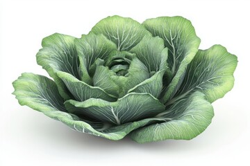 Obraz premium Fresh green cabbage 3d render icon isolated on white background for healthy food design