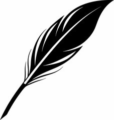 feather on white background