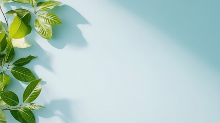 Fototapeta premium Green Leaves Branch Minimalist Style High-Resolution Lighting Horizontal Arrangement Natural Textures Fresh Growth Pastel Blue Background Spring Theme Ideal for Wellness Branding