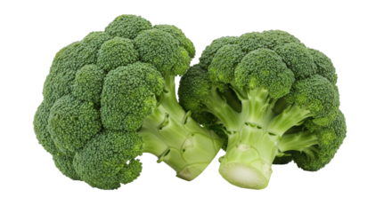 Isolated Fresh Broccoli Heads