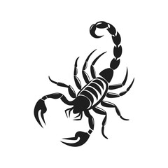 Hand drawn sketch of Scorpion tattoo animal vector 