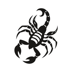 Hand drawn sketch of Scorpion tattoo animal vector 