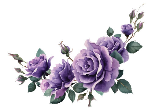 Vector watercolor flower border,Spring purple roses flower frame with leaves, Cards,invitations,decorative border wreath.Wedding, mother's day,valentine's day,Women's Day,friendly,七夕
