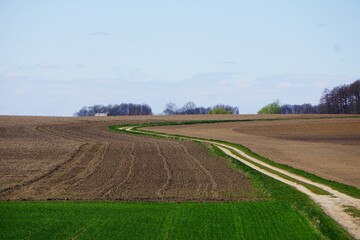 Ścieżka, zaorane pola, las © Adam