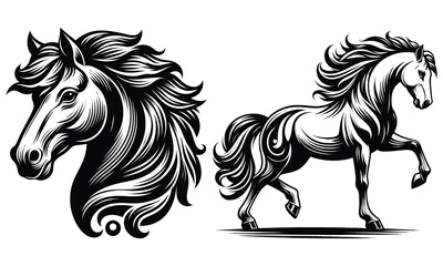 black horse vector illustration