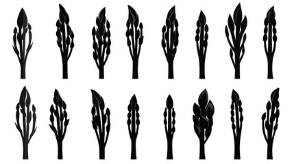 Black and White Asparagus Icons (Group)
