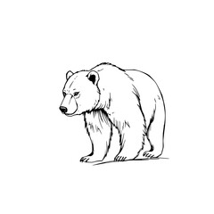 Polar Bear Silhouette: A stark silhouette of a polar bear commands attention, rendered in a striking monochrome palette, with its powerful form and commanding presence, ready to captivate the eye.