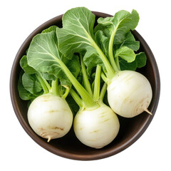 Fresh Kohlrabi Bowl on transparent background