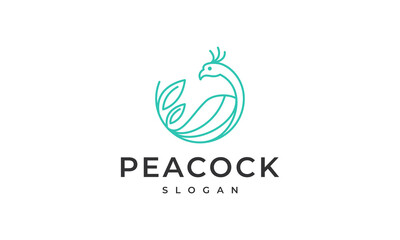 peacock logo vector icon illustration, logo template