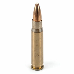 Bullet Isolated on White Background