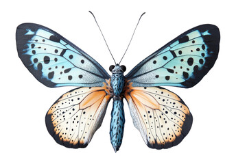 Naklejka premium PNG Butterfly photography detailed vibrant.