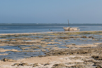 stary katamaran - tradycyjna kenijska łódź rybacka na Oceanie Indyjskim, zacumowana w lagunie u wybrzeżapodsczas odpływu. Okolice Mombasy, Kikambala, Kenia, Afryka © Kamil_k2p