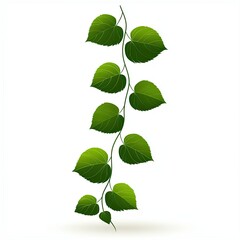 Naklejka premium Vector Illustration of Green Vine Leaves on a White Background