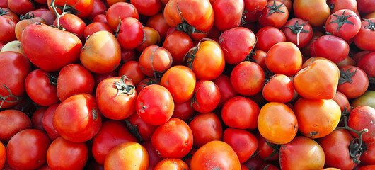 A pile of fresh tomato open sell in Indian market.