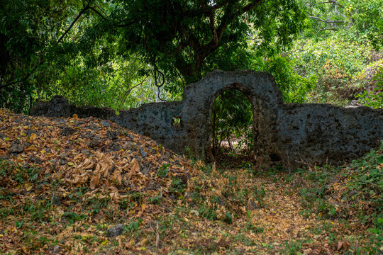 Ruiny Gedi w mieście Gede - Stanowisko archeologiczne w Kenii, obejmujące ruiny starożytnego miasta muzułmańskiego ludu Suahili z XIII&ndash;XVII wieku założonego przez bogatych Arab&oacute;w. Afryka