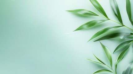 Fototapeta premium Lush green leaves on tranquil blue background study in natural contrast and vibrant colors