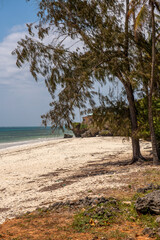 piaszczysta plaża nad brzegiem oceanu