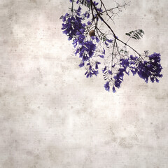 stylish square textured old paper background with Flowers of blue jacaranda, Jacaranda mimosifolia