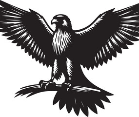 Falcon silhouette vector on white background