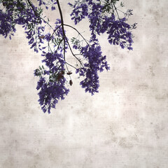 stylish square textured old paper background with Flowers of blue jacaranda, Jacaranda mimosifolia