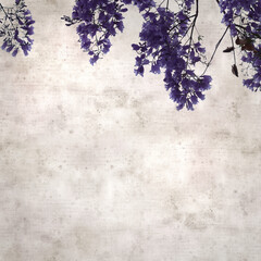 stylish square textured old paper background with Flowers of blue jacaranda, Jacaranda mimosifolia