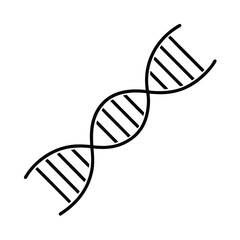 Double Helix DNA Strand Genetics, Genome, Heredity, Biology, Science