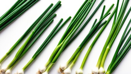 Fototapeta premium Fresh garlic chives displayed on a white background with clipping path, viewed from above.