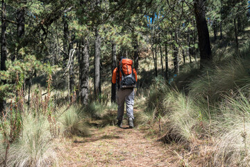 Obraz premium Hiker walking on a path in the forest near iztaccihuatl and popocatepetl volcanoes
