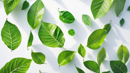 Fototapeta premium Isolated green leaves in flight on a white background