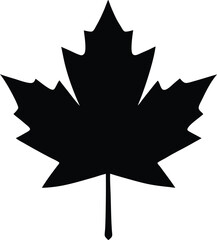 Black maple leaf silhouette on transparent background