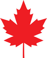 Bright autumn red maple leaf silhouettes on white background