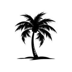 palm tree silhouette