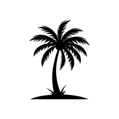 palm tree silhouette