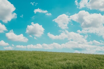 Fototapeta premium A bright fresh sunny spring, summer blue sky background with white fluffy clouds and lush green grass in the foreground