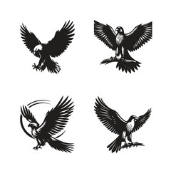 set of silhouettes vector of  falcons bird, eagle vector illustration