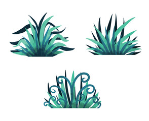 watercolor bush and different type of grass vector illustration set