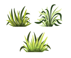 set of watercolor bush and different type of grass vector illustration