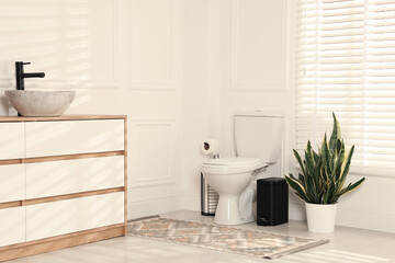 Ceramic toilet bowl, houseplant and necessities in restroom